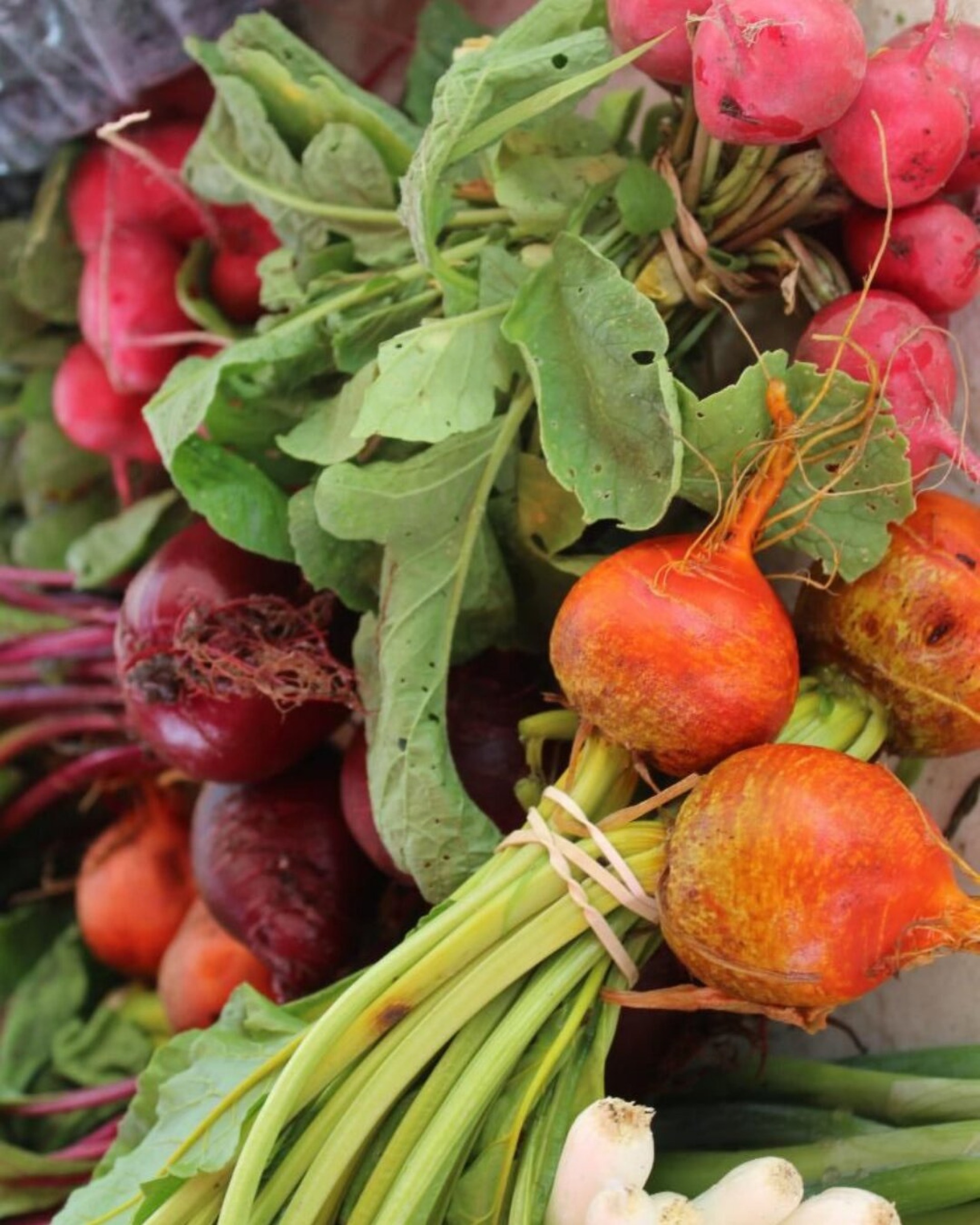 Orange radishes at the Grinnell Farmers Market.